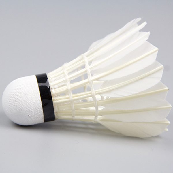 12 shuttlecocks for indoor and outdoor competition and training